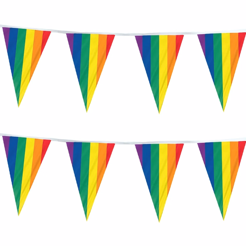 Rainbow Pennant 60' Streamer
