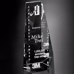 Wedgewood Award