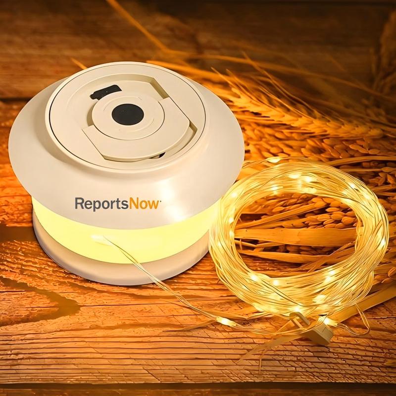 Retractable Waterproof String Lights