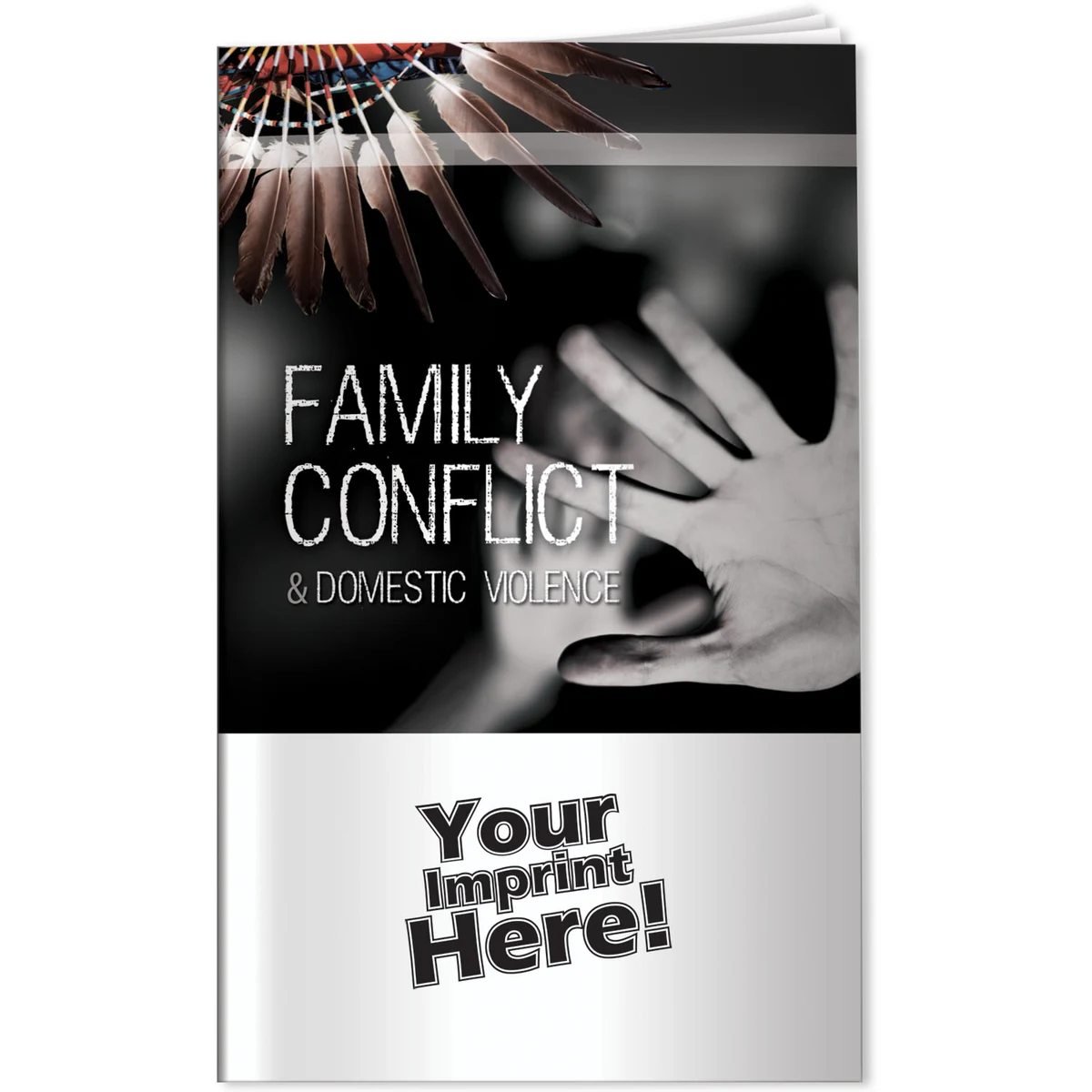 Better Book - Family Conflict & Domestic Violence 1