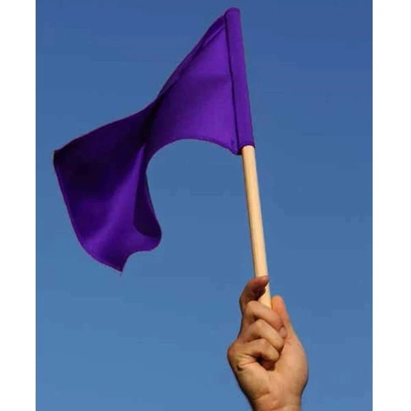 4" x 6" Stock Attention Stick Flags - ePoly 1