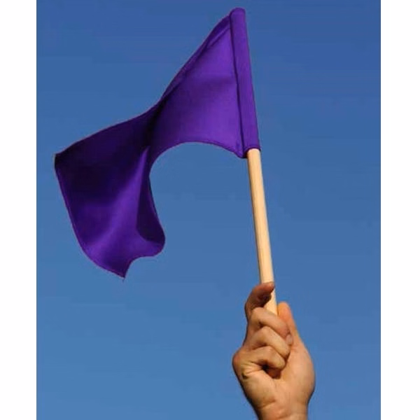 4" x 6" Stock Attention Stick Flags - ePoly