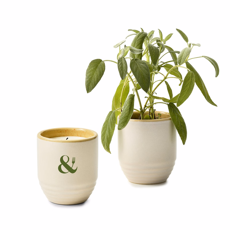 Modern Sprout® Garden Vibes Candle/Planter