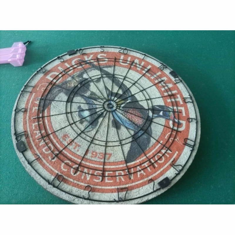 Custom 18-inch Bristle Dartboard