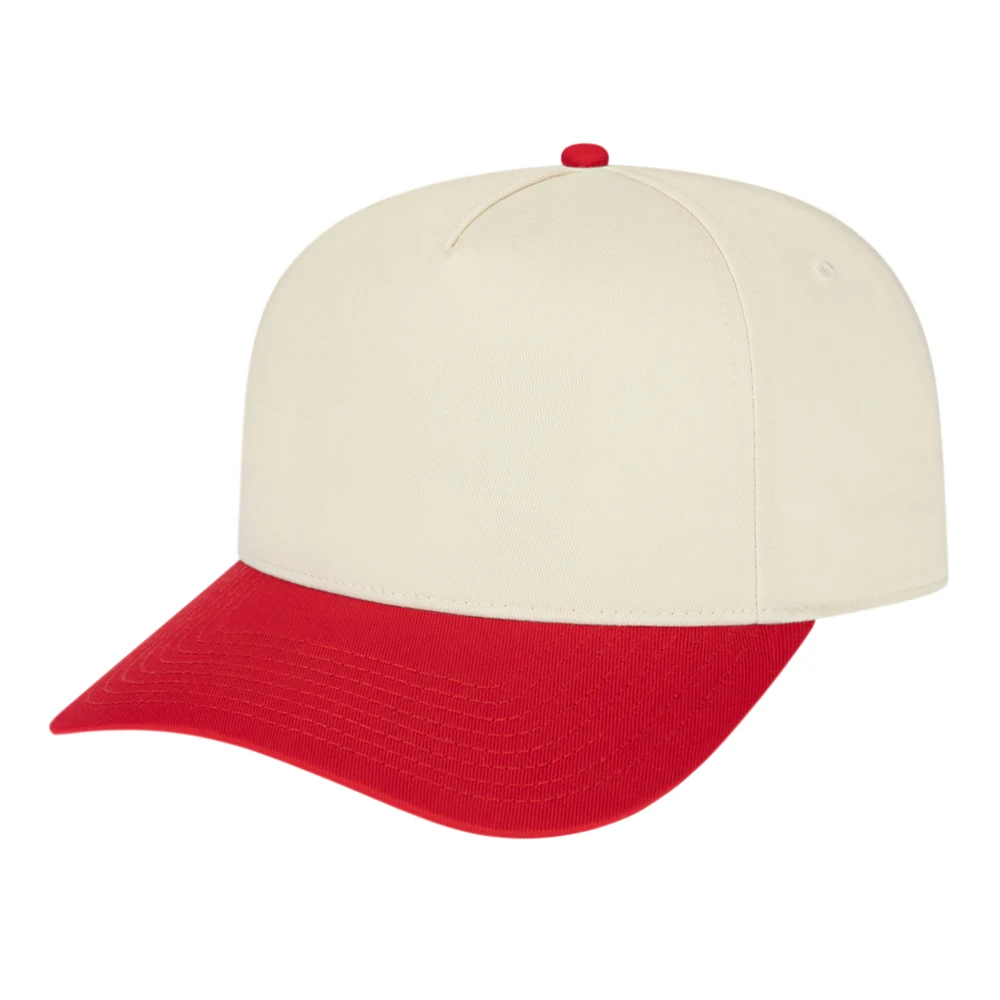 Hometown 5 Panel 1