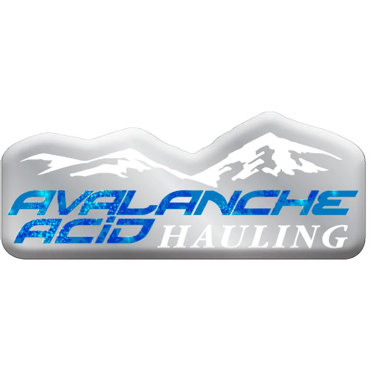 3 Sq. Inch Custom 4 Colour Process Chrome Polyester Domed Decal 1