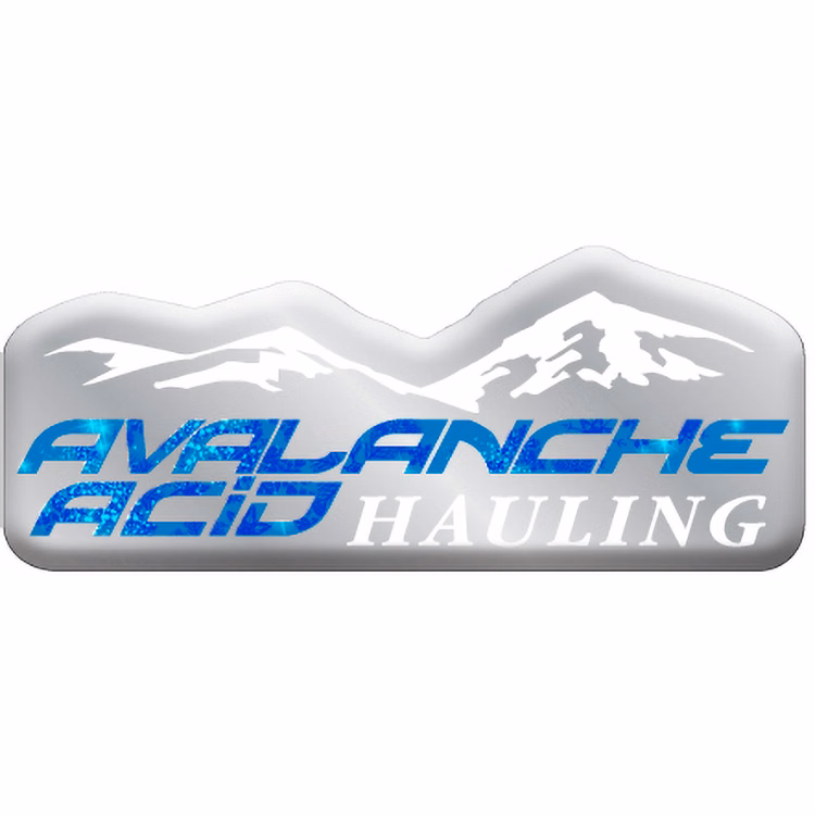 3 Sq. Inch Custom 4 Colour Process Chrome Polyester Domed Decal