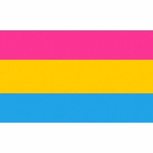 Pansexual Stick Flag