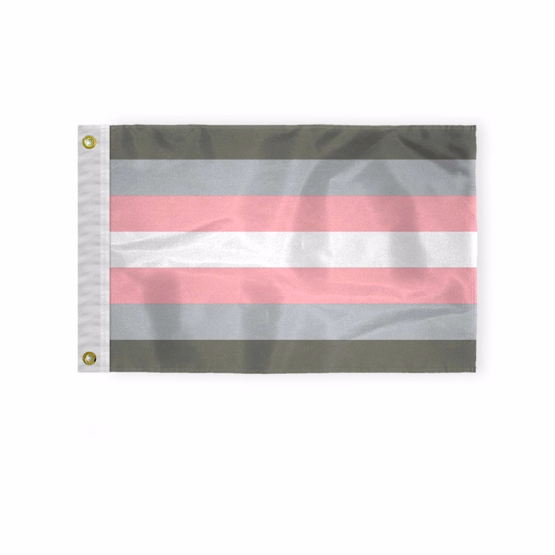 1ply Demigirl Flag