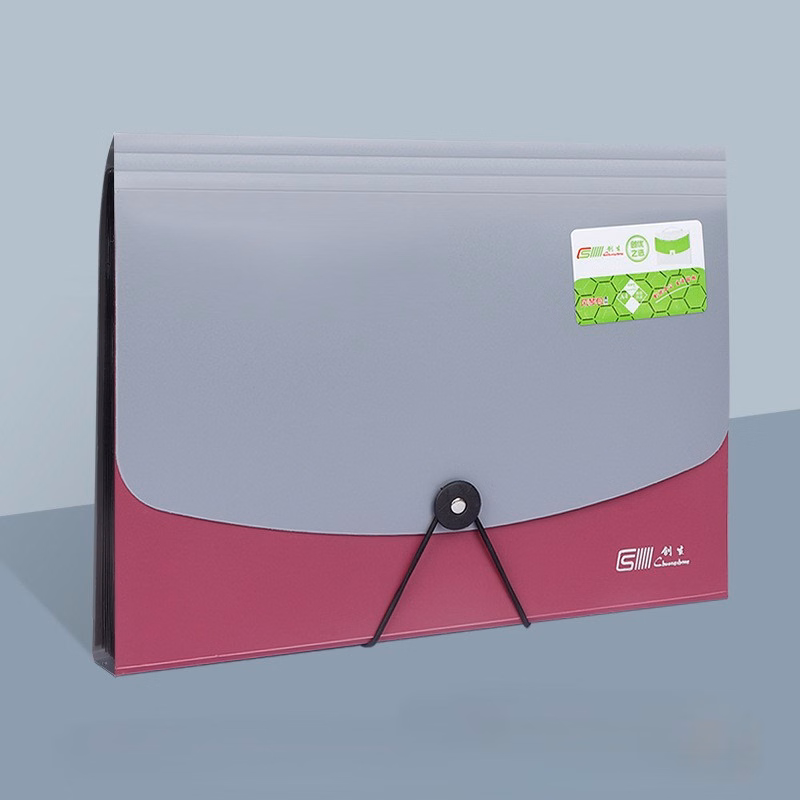 PP Plastic 13-Pocket A4 File Organizer