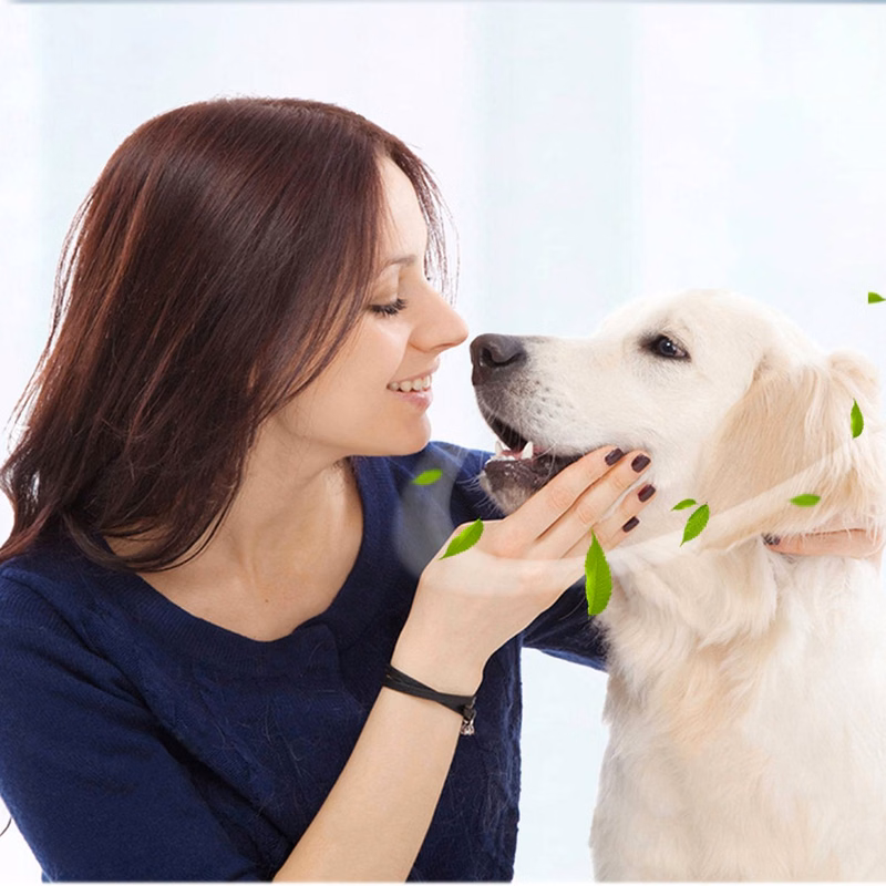Pet Teeth Cleaning Flavored Toothbrush Toothpaste Set