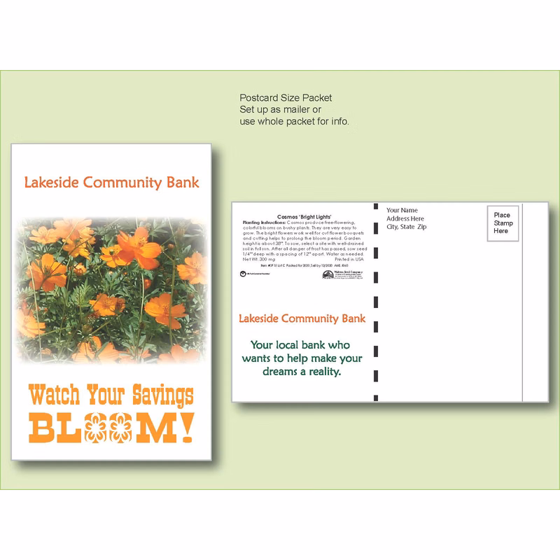 Cosmos Bright Lights Flower Seed Packet - Postcard Mailer Size 4" x 6.5"