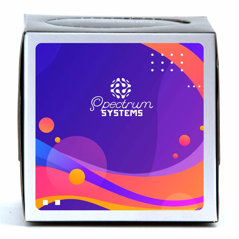 Small Tissue Box