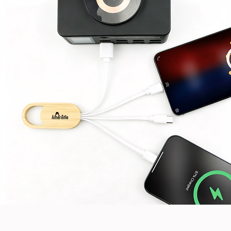Multiple-Plug Charging Cable