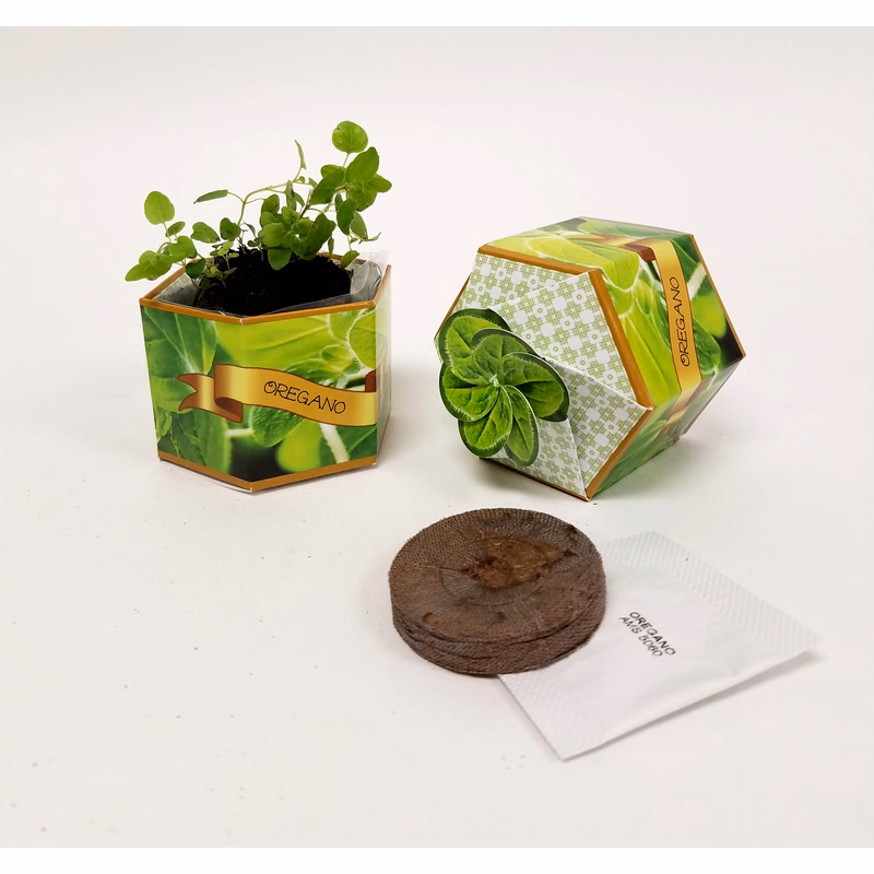 Oregano Herb SeedGems Paper Planter - Biodegradable grow kit