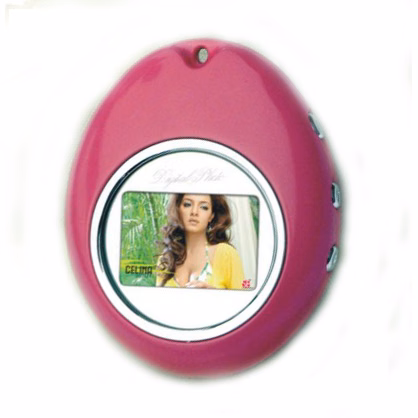 RSX10 Digital Photo Frame