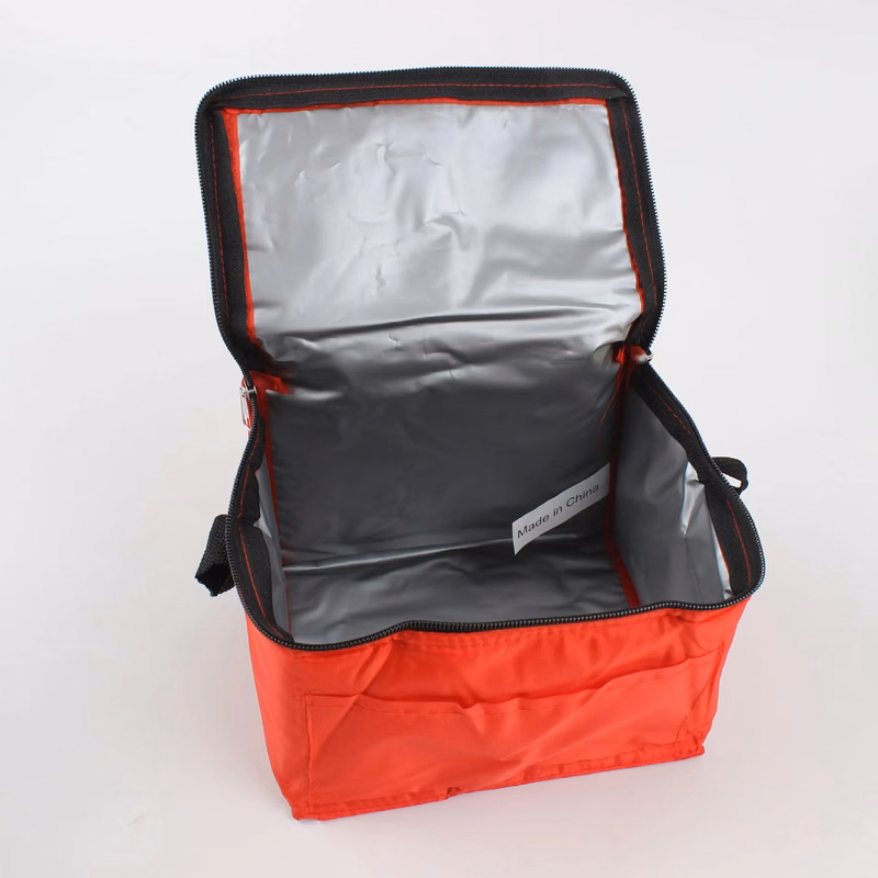 Springs 6-Pack Insulated Cooler Bag