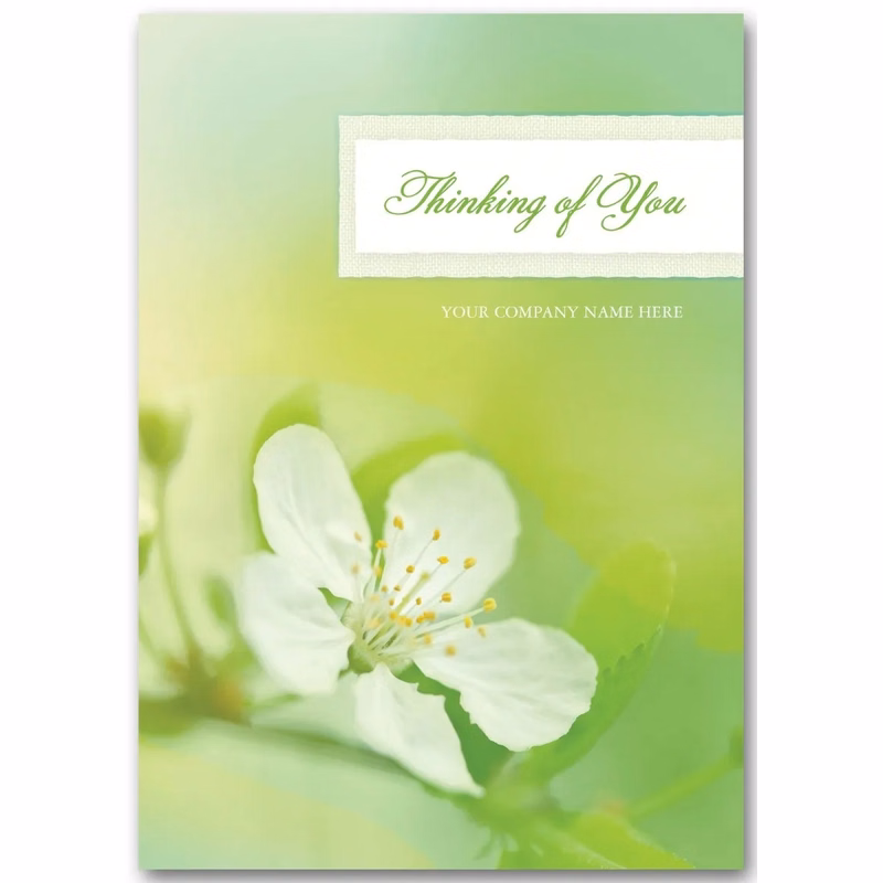 Apple Blossom Sympathy Cards