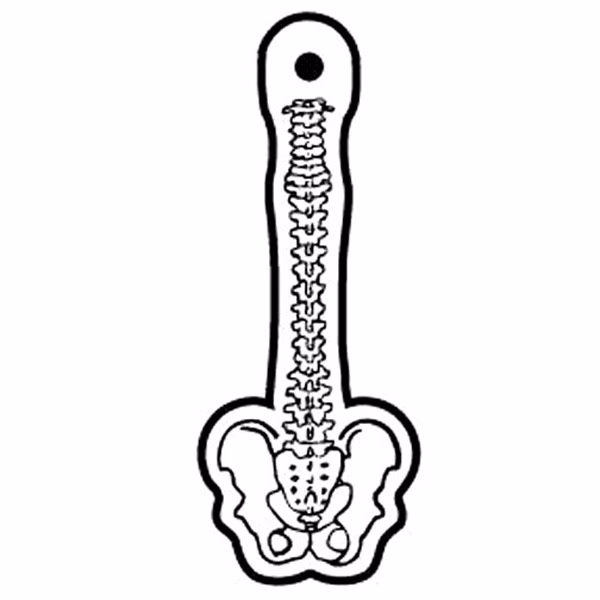 Spine & Pelvis Key Tag - Spot Color