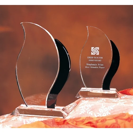 Designer Crystal Artisan (Black) Award 1