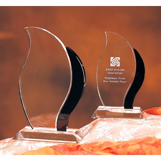 Designer Crystal Artisan (Black) Award