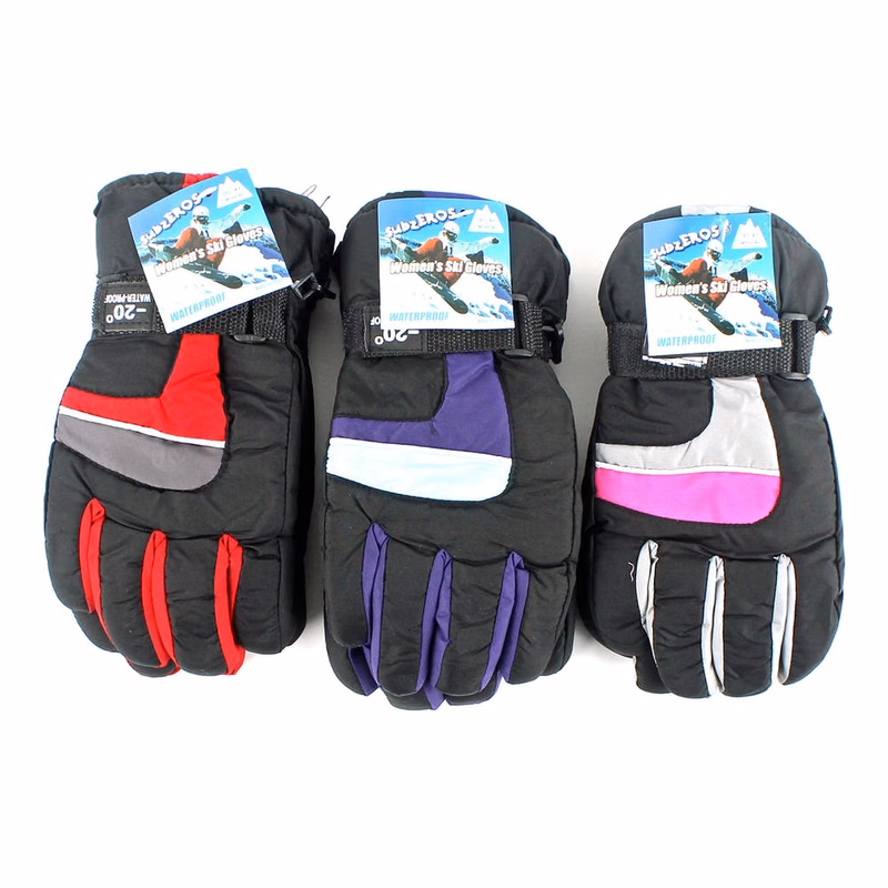 Women's Ski Gloves - Waterproof Assorted Color Accents