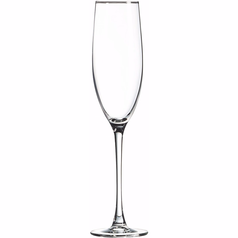 Polar Camel 8 oz Champagne Flute