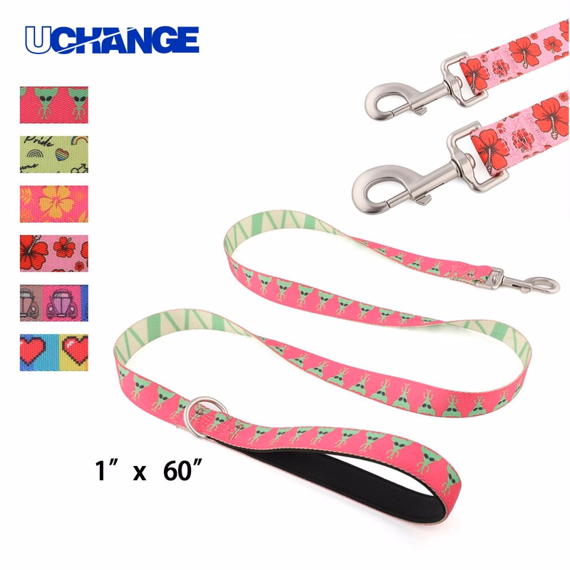 Nylon Pet Leash with Metal Carabiner for Walking