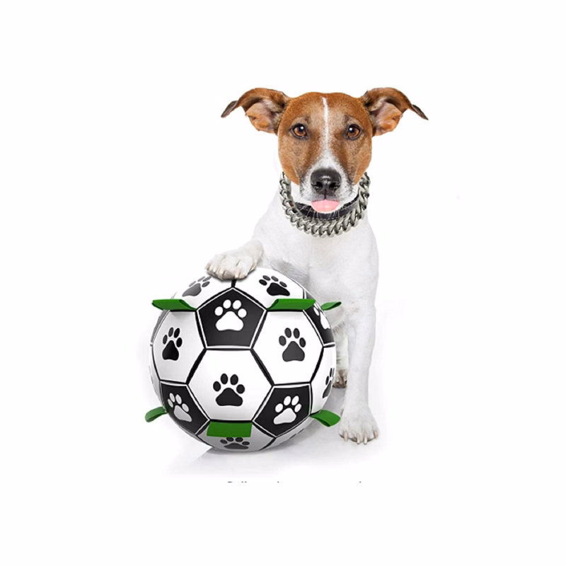 Interactive Dog Toys