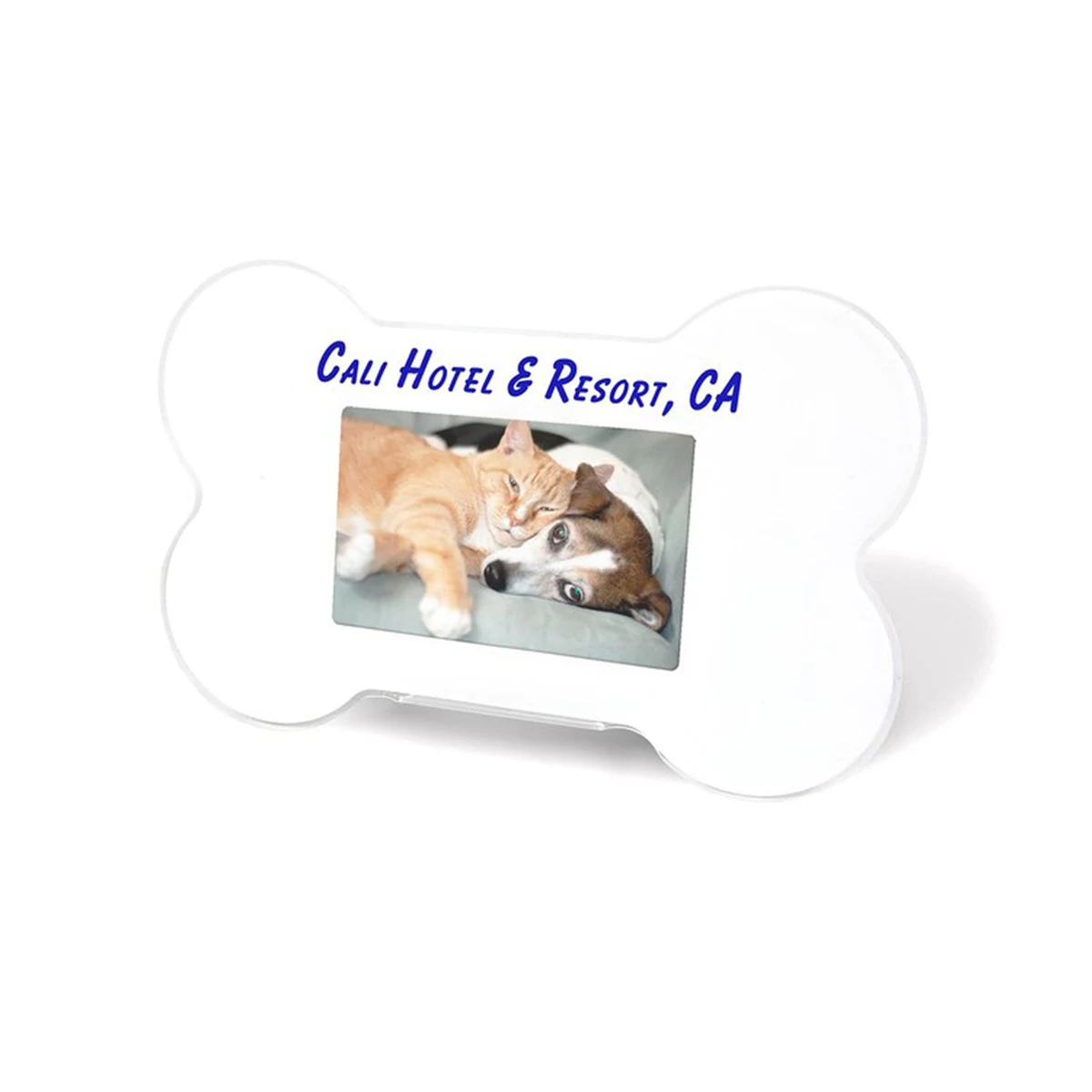 Bone Shaped Picture Frame 1