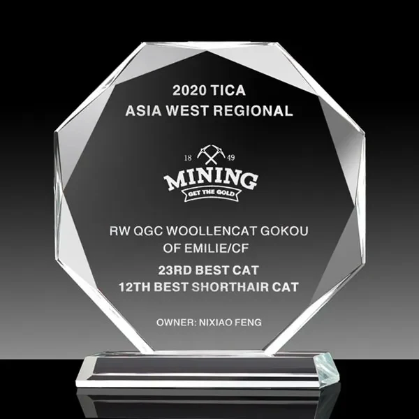 Faceted Octagon Crystal Award 1