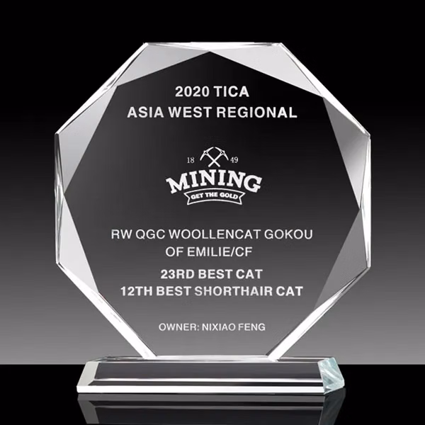 Faceted Octagon Crystal Award