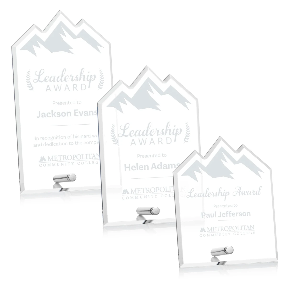 Polaris Summit Award - Silver 1