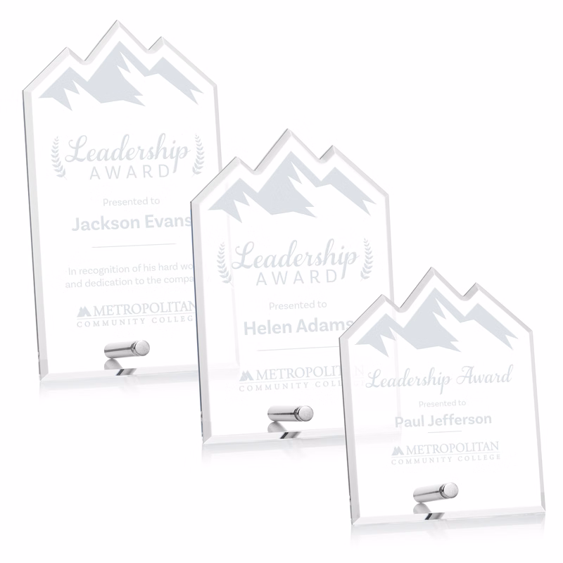 Polaris Summit Award - Silver