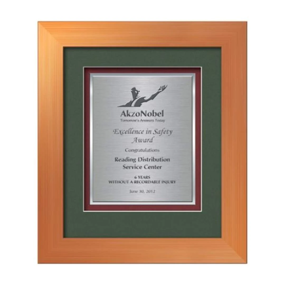 Premier Certificate TexEtch - Bronze 1