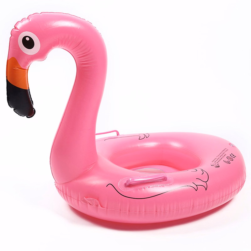 Girly Flamingo Pool Swim Rings