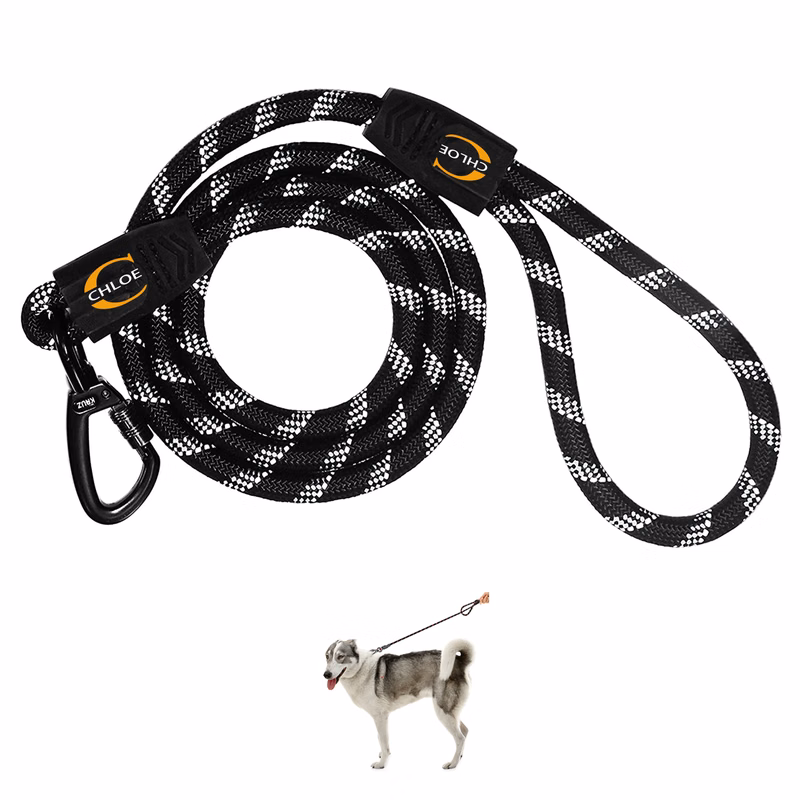 Dog Leash with Padded Handle & Reflective Threads