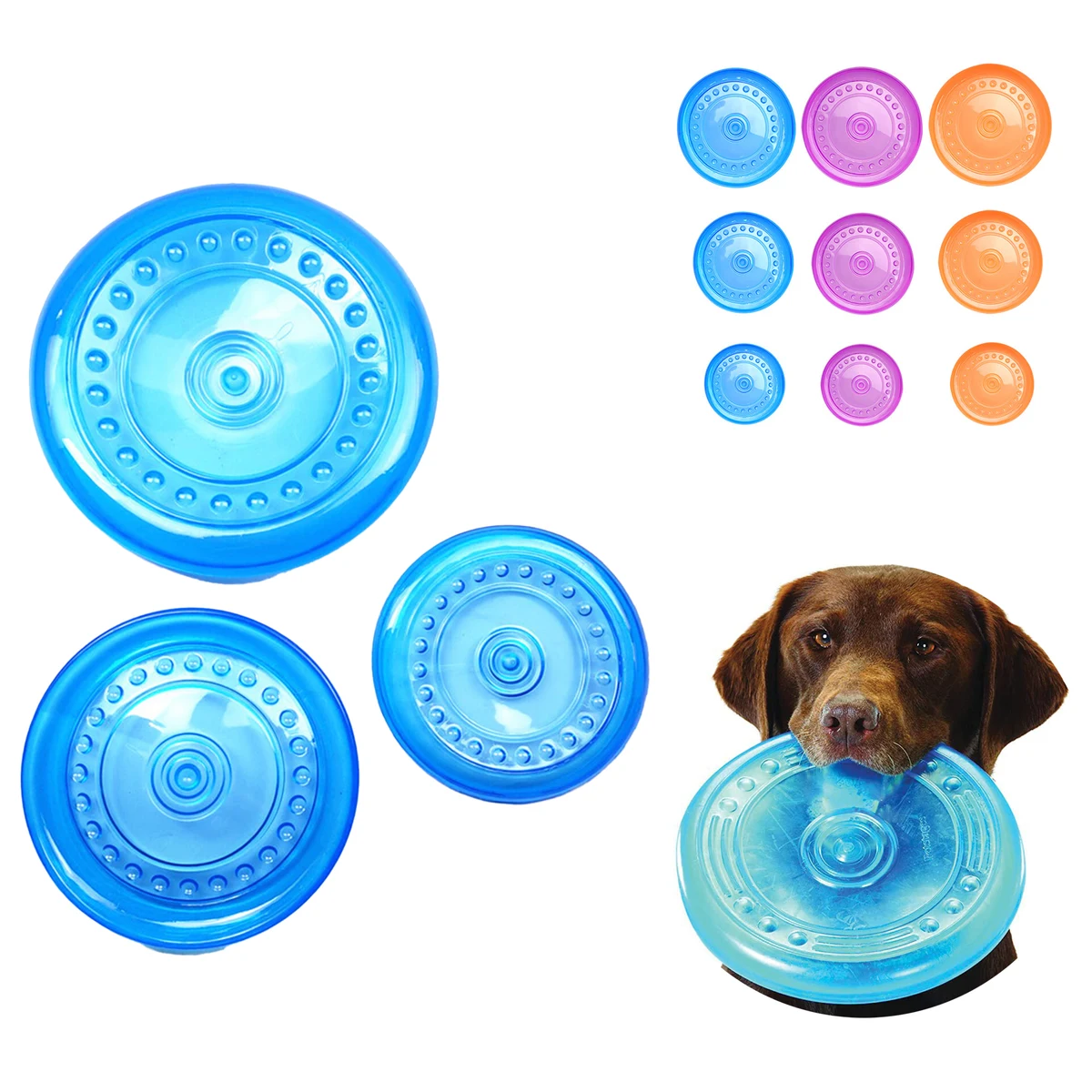 Flyer Flying Disc 1