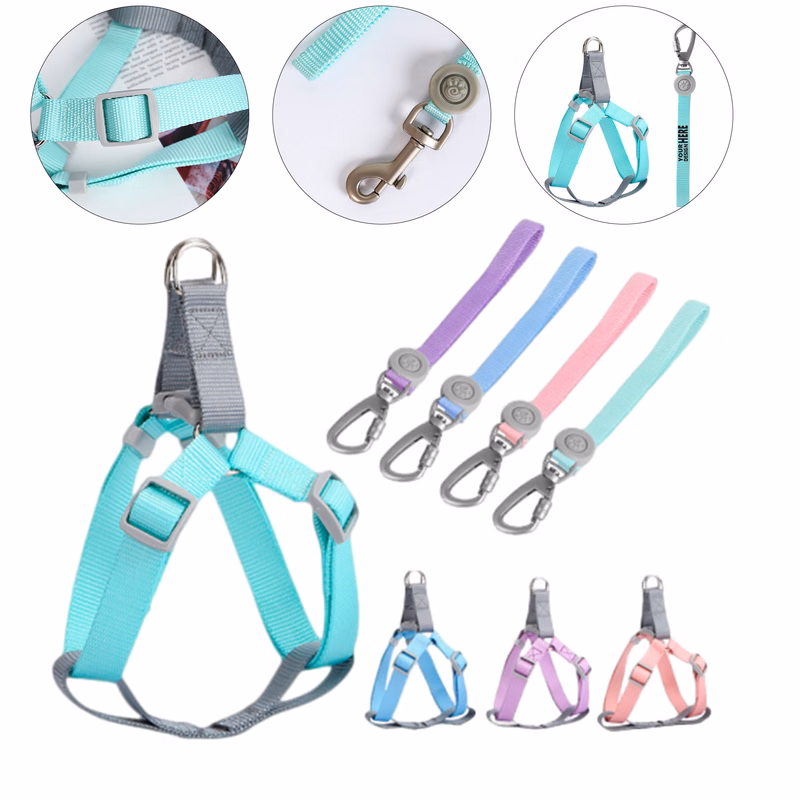 Outdoor Nylon Pet Leash