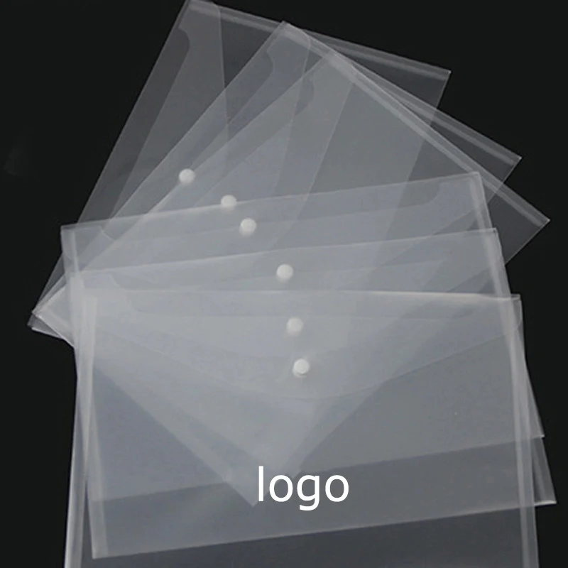 Clear Document Case 1