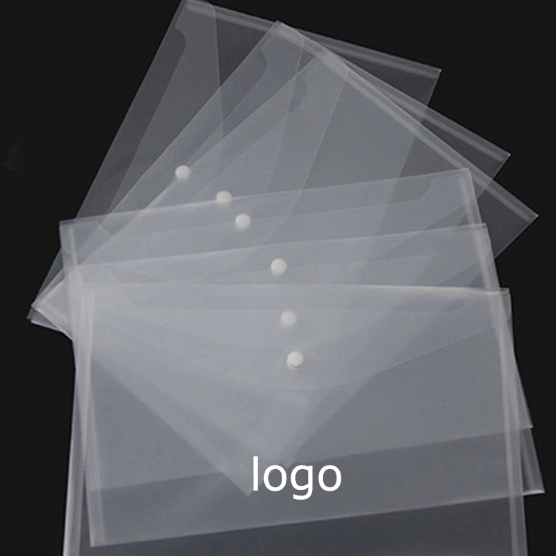 Clear Document Case