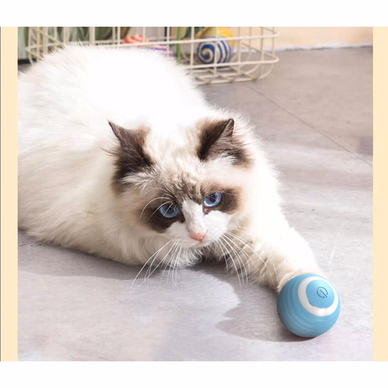 Interactive Cat Toys Ball With Led Lights