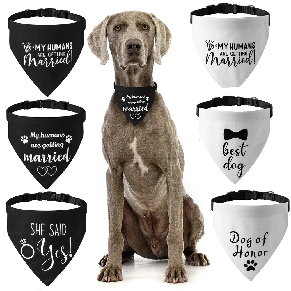 Canvas Pet Towel Collar 1