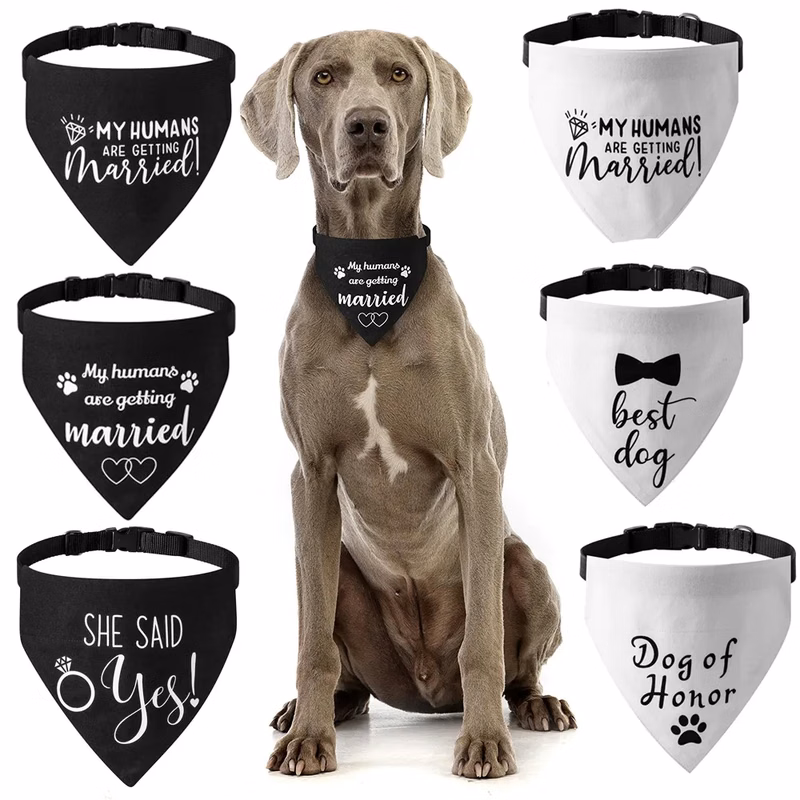 Canvas Pet Towel Collar