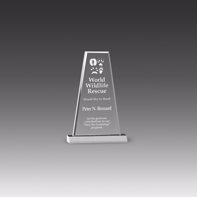 Premium Prism Award (6"x8")
