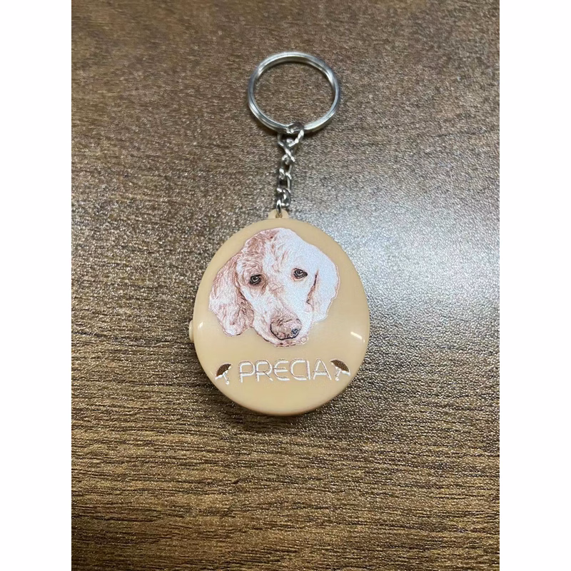 Oval Recordable Keychain