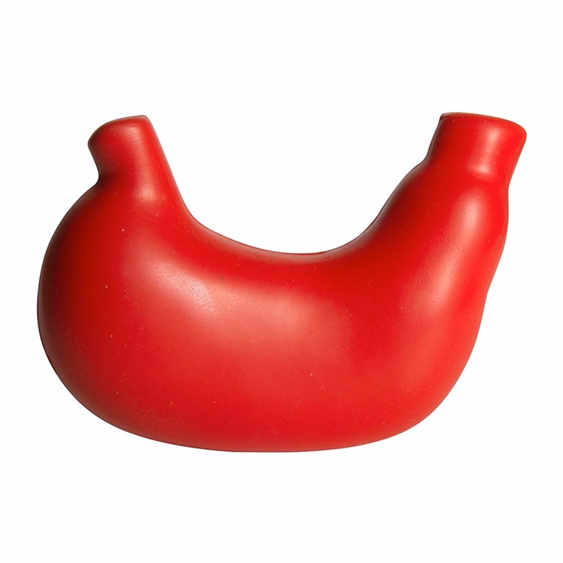 Foam Toy Stomach