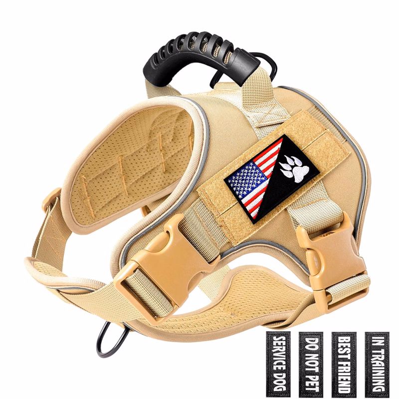 Training Service Dog Vest