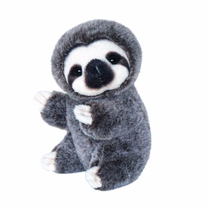 Baby Sloth