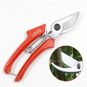 Pruning Scissor 1